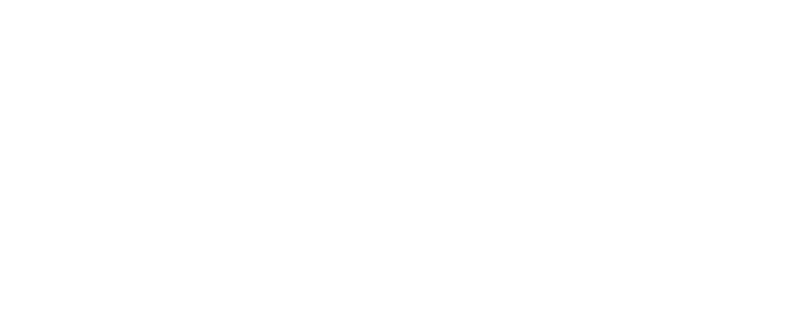 Renault Group